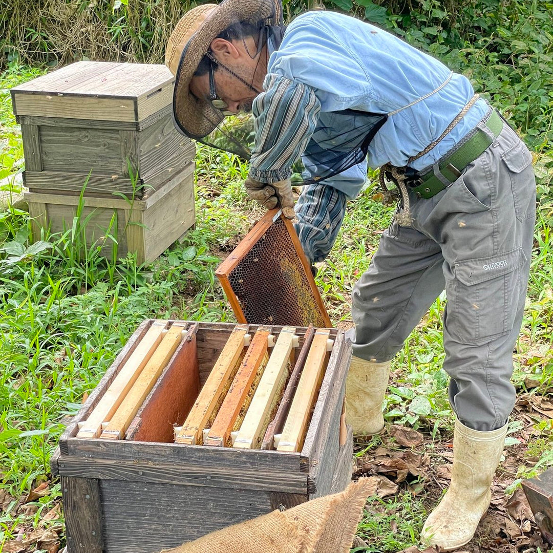 にがみつはちみつ