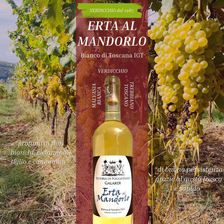 『Erta al Mandorlo』白ワイン