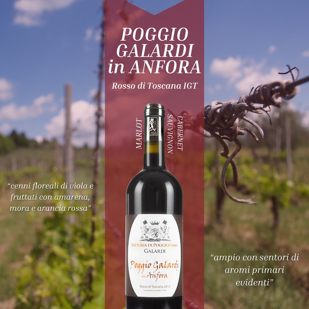 『Poggio Galardi in Anfora』赤ワイン