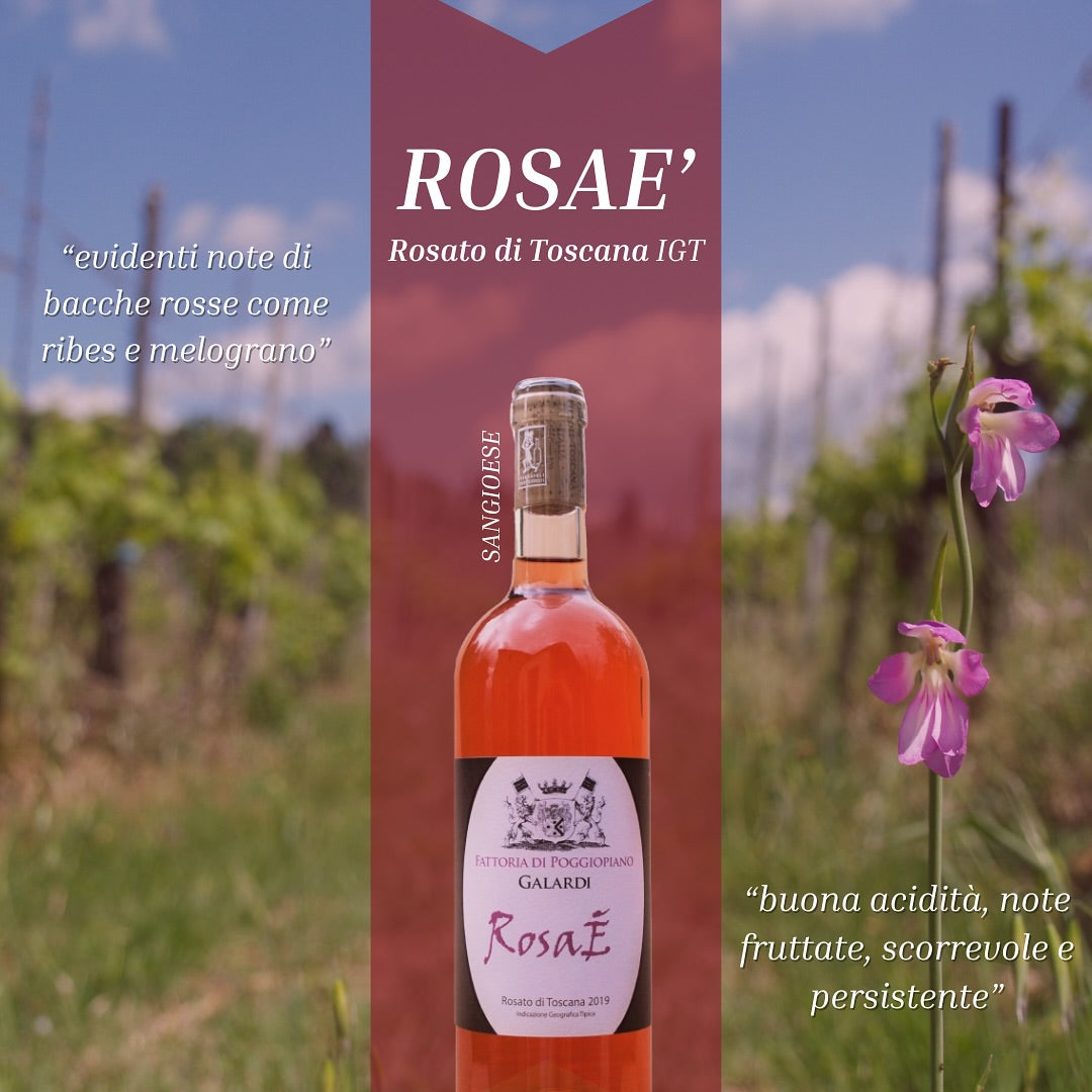 『RosaE』ロゼワイン