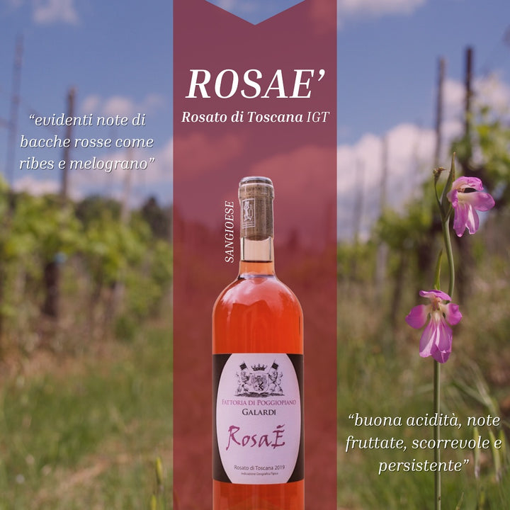 『RosaE』ロゼワイン